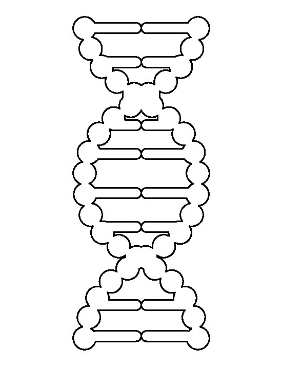 DNA Template