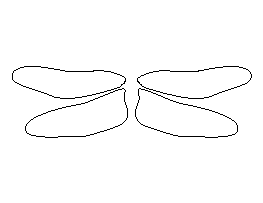 Dragonfly Wings Pattern