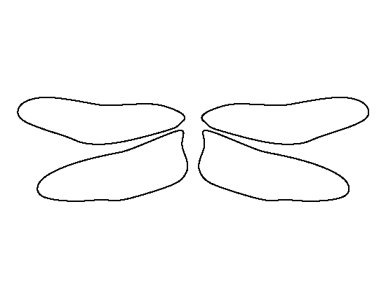 Dragonfly Wings Template