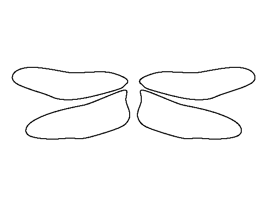 Dragon Wings Template Template