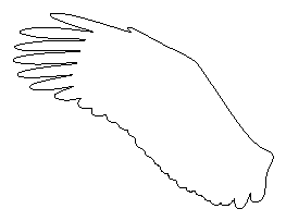 Eagle Wing Pattern
