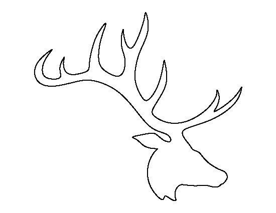Elk Head Template