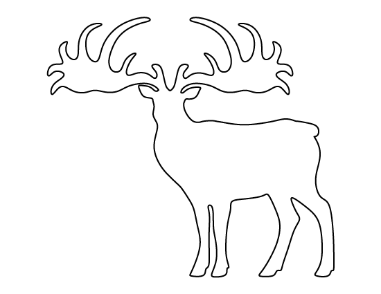 Elk Template