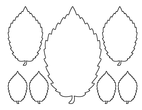 Printable Elm Leaf Template