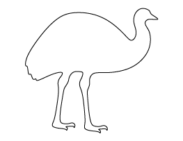 Emu Pattern
