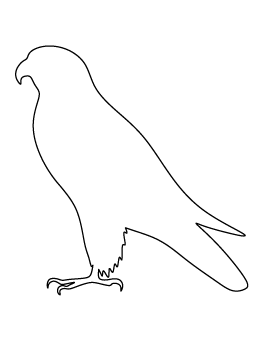 Falcon Pattern