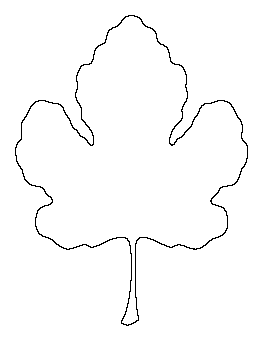 Fig Leaf Pattern
