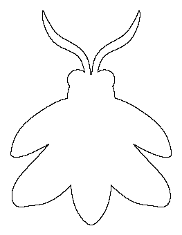 Firefly Pattern