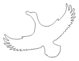 Flying Duck Pattern
