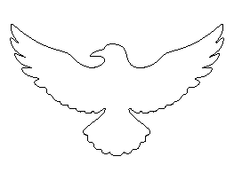 Flying Raven Pattern