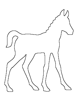 Foal Pattern