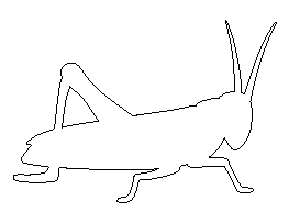 Grasshopper Pattern