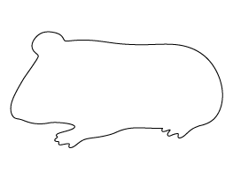 Guinea Pig Pattern