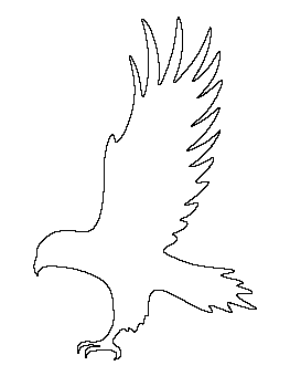 Hawk Pattern