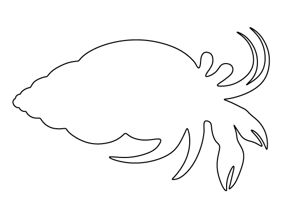 Hermit Crab Template