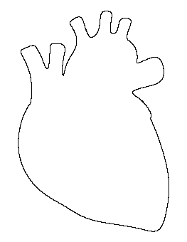 Human Heart Pattern