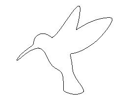 Hummingbird Pattern