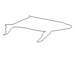 Humpback Whale Pattern