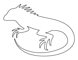 Iguana Pattern