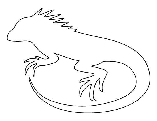 Iguana Template