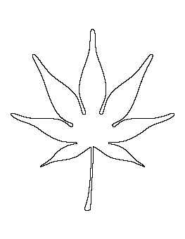 Japanese Maple Leaf Pattern