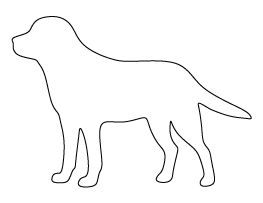 Labrador Pattern