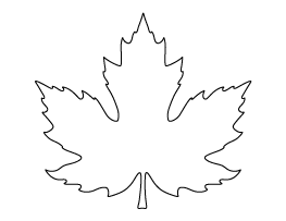 Large Maple Leaf Pattern