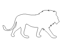 Lion Pattern