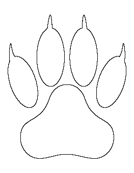 Lion Paw Print Pattern