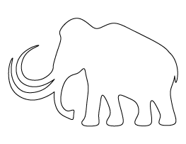 Mammoth Pattern