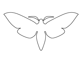 Moth Pattern