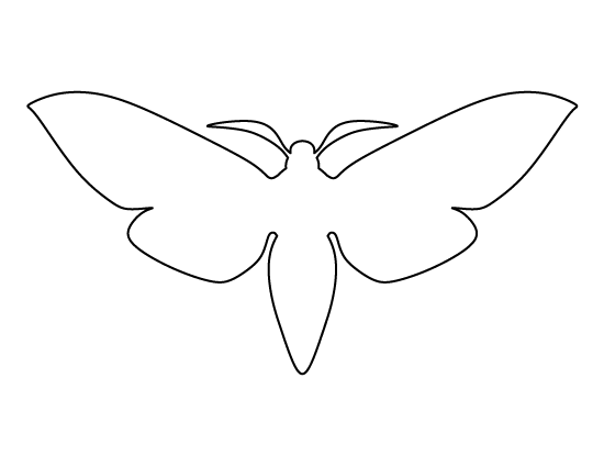 Moth Template