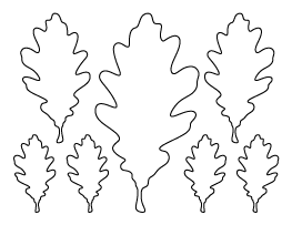 Oak Leaf Pattern