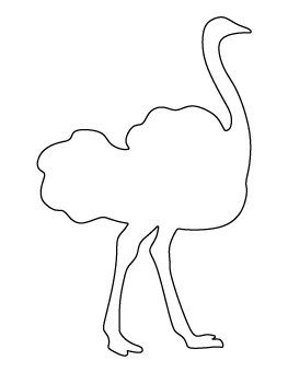 Ostrich Pattern
