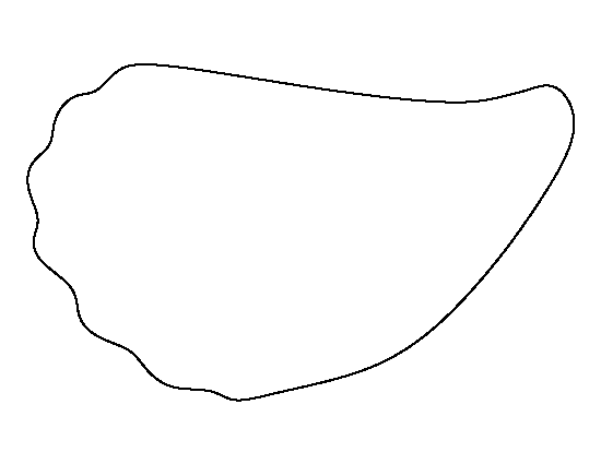 Oyster Template