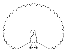 Peacock Pattern