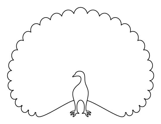 Peacock Template