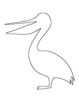 Pelican Pattern