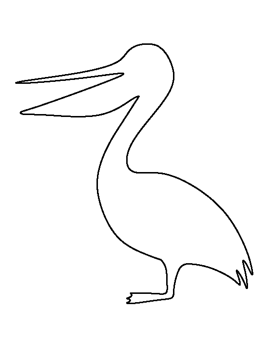 Pelican Template
