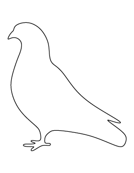 Pigeon Pattern
