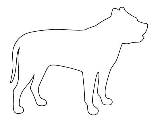 Pit Bull Template