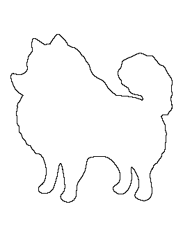 Pomeranian Pattern