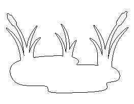 Pond Pattern