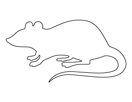 Rat Pattern