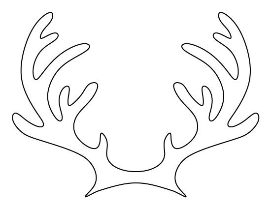 Reindeer Antlers