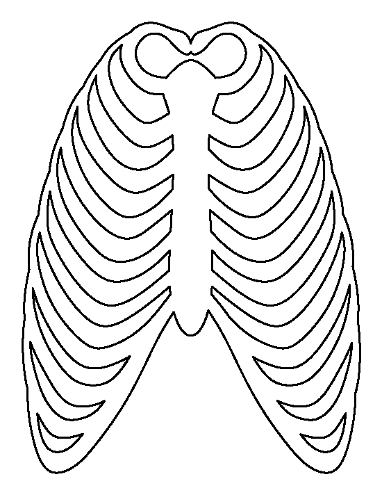 Ribcage Template