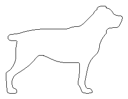Rottweiler Pattern