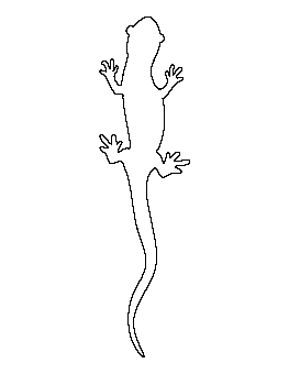 Salamander Pattern