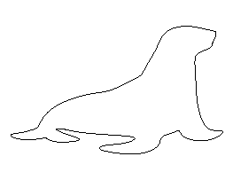 Sea Lion Pattern