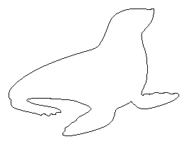 Seal Pattern